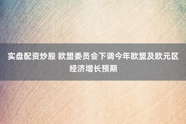 实盘配资炒股 欧盟委员会下调今年欧盟及欧元区经济增长预期